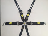 RWB 6 Point FIA approve Harness