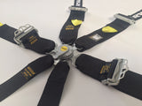 RWB 6 Point FIA approve Harness